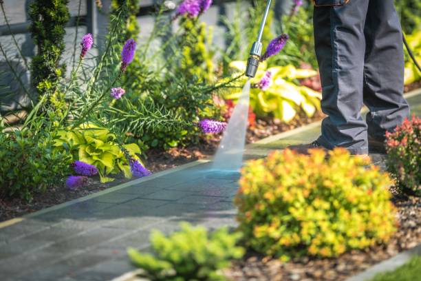 Best Fence Cleaning and Maintenance in Pasadena Hills, MO